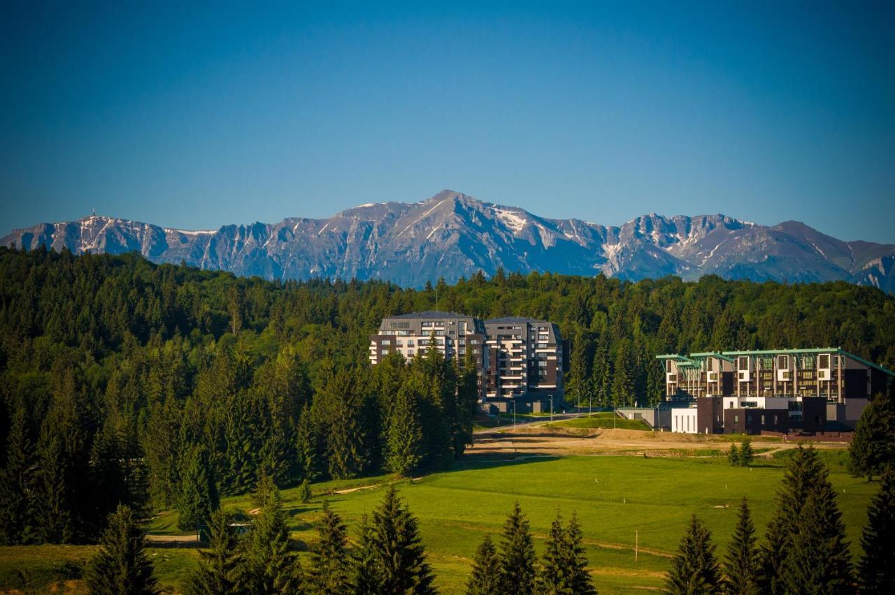 Silver Mountain B21 Pine Woods Poiana Brasov Luaran gambar